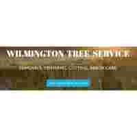Wilmington Local Tree Service